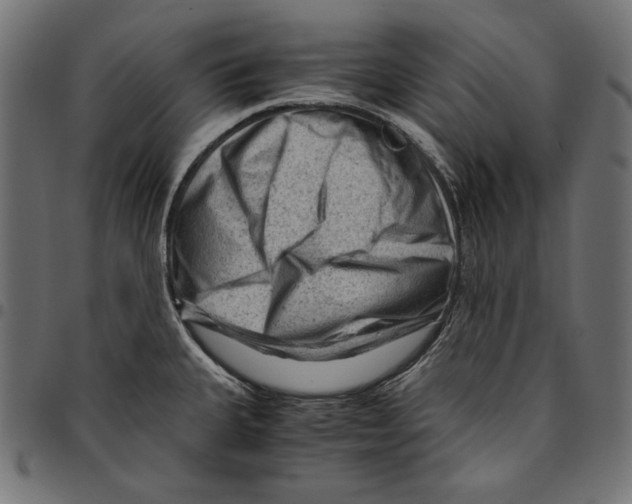 X0000094781335200712141611