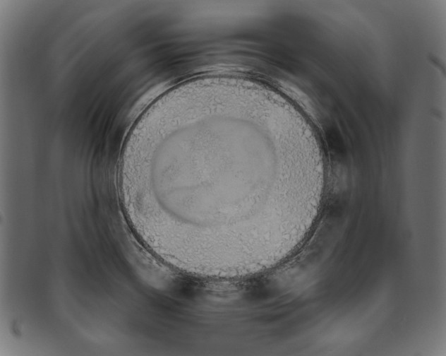 X0000094781338200712141611