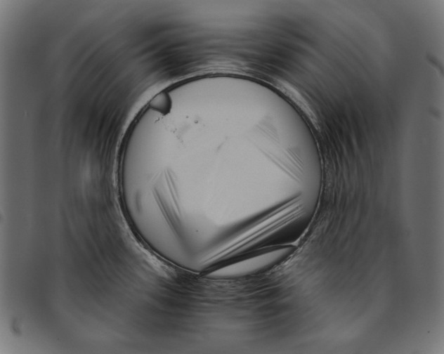 X0000094781339200712141611