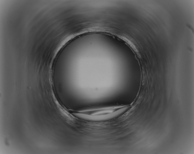 X0000094781342200712141611