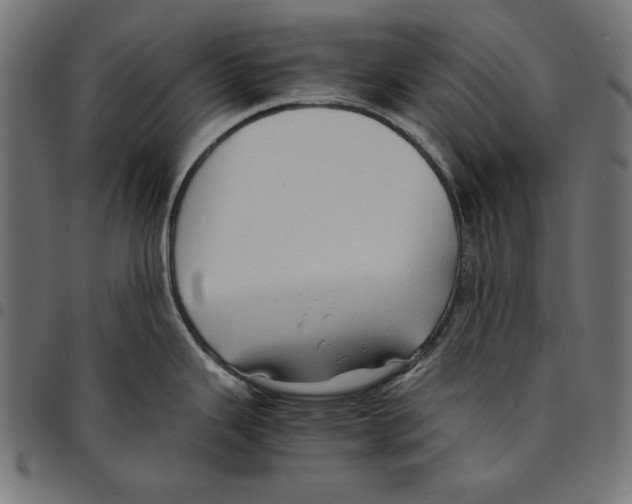 X0000094781343200712141611