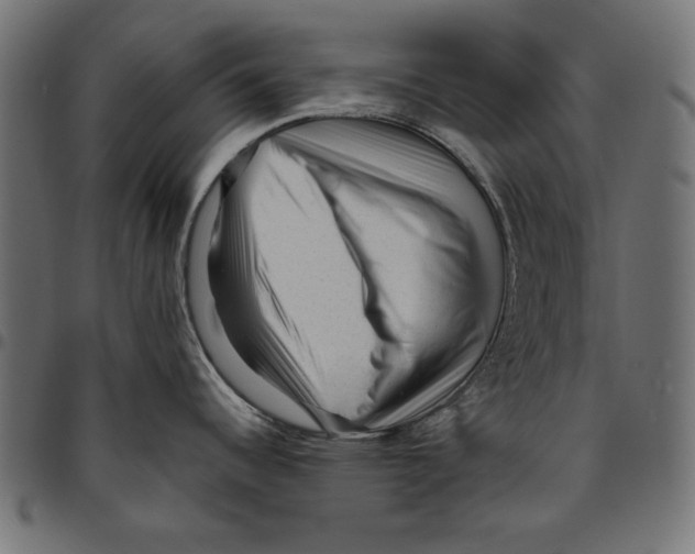 X0000094781344200712141611