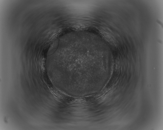 X0000094781346200712141610