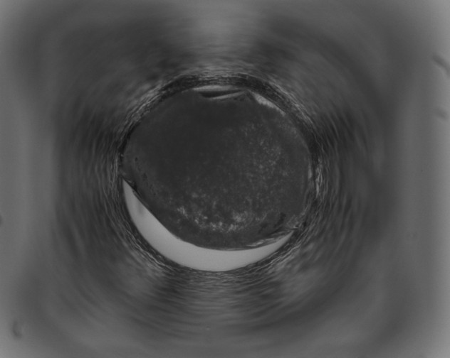 X0000094781348200712141610