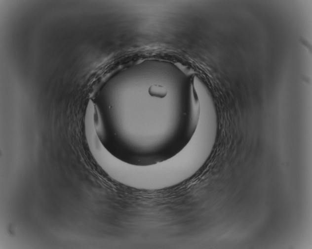 X0000094781349200712141610