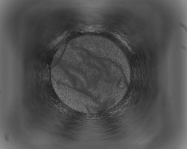 X0000094781350200712141610