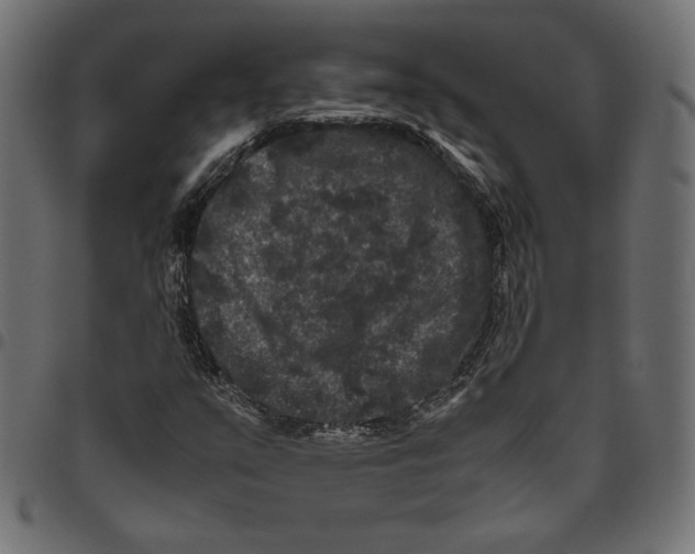 X0000094781351200712141610