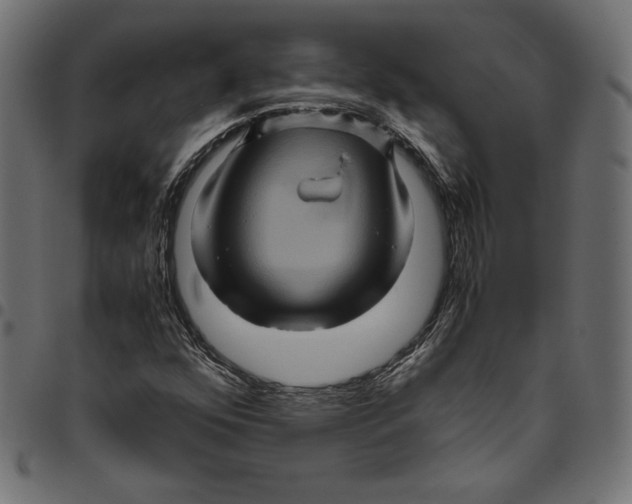 X0000094781352200712141610