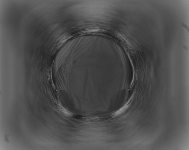 X0000094781353200712141610