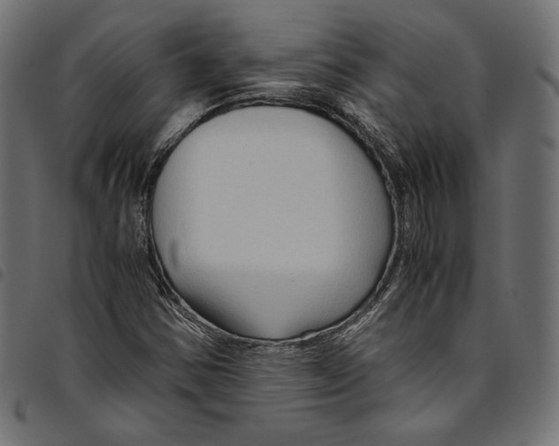 X0000094781354200712141610