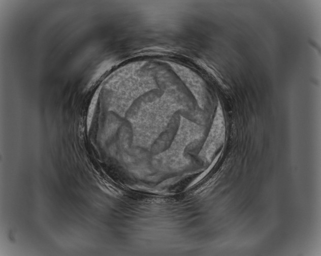 X0000094781355200712141610