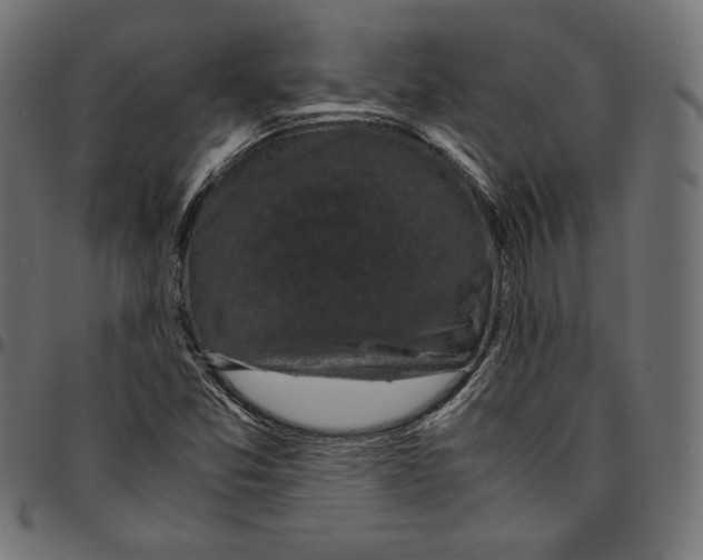 X0000094781357200712141610