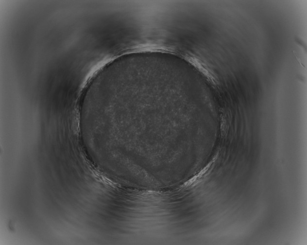 X0000094781358200712141610