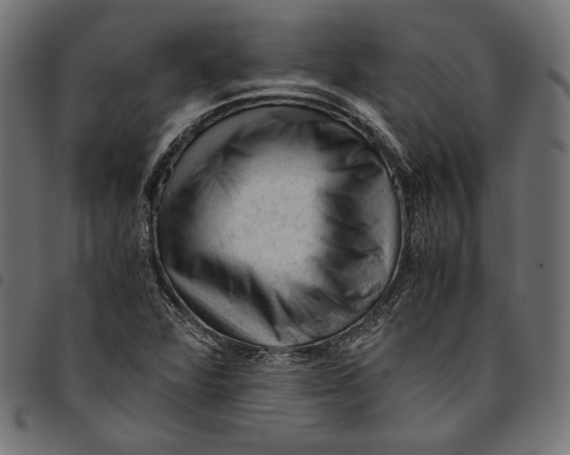 X0000094781360200712141610