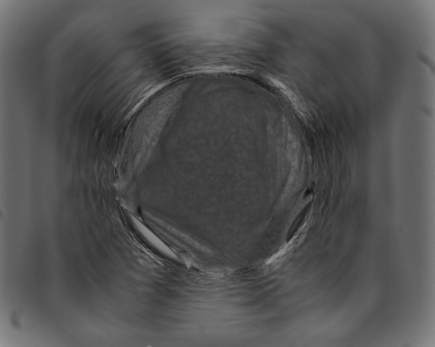 X0000094781361200712141610