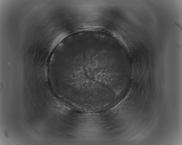 X0000094781362200712141610