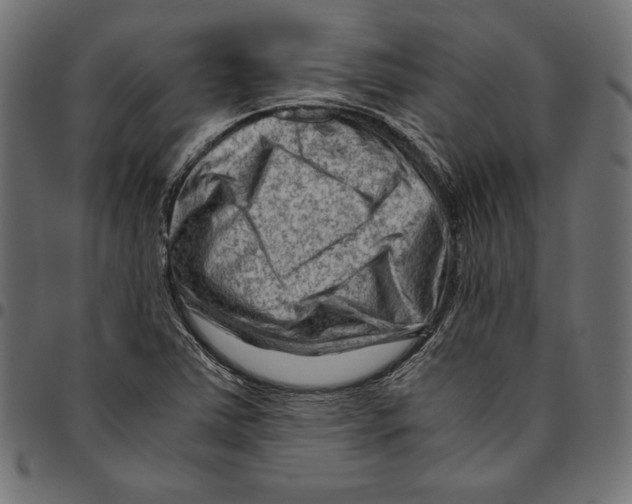 X0000094781363200712141610