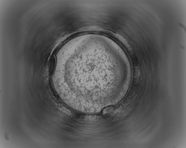 X0000094781364200712141610