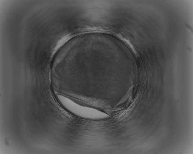 X0000094781365200712141610