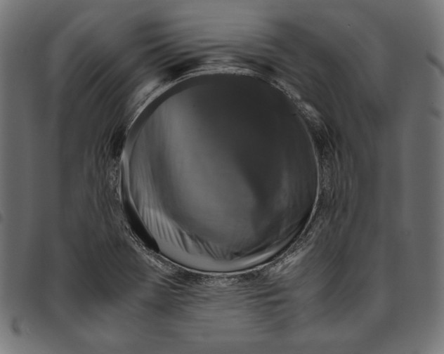 X0000094781369200712141610