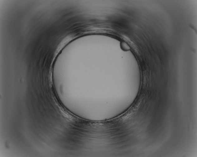 X0000094781370200712141610