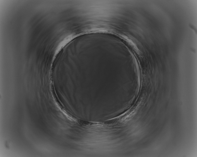 X0000094781373200712141610