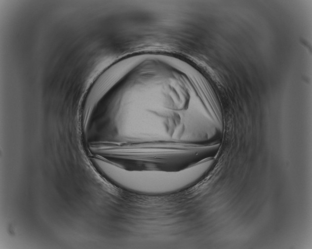 X0000094781375200712141610