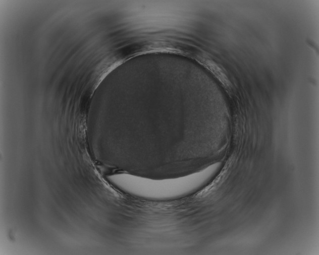 X0000094781377200712141610