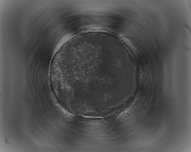 X0000094781378200712141610