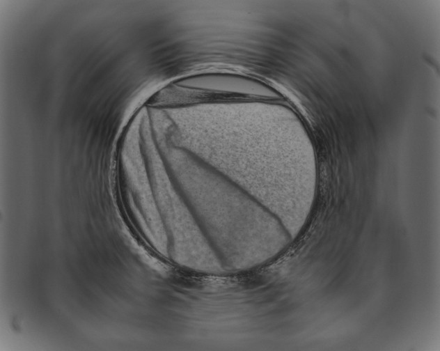 X0000094781379200712141610