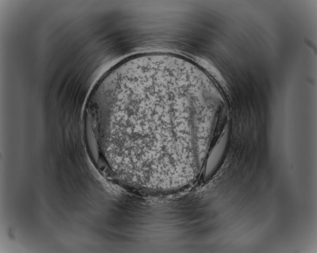 X0000094781380200712141610