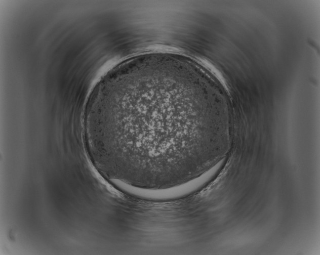 X0000094781381200712141610