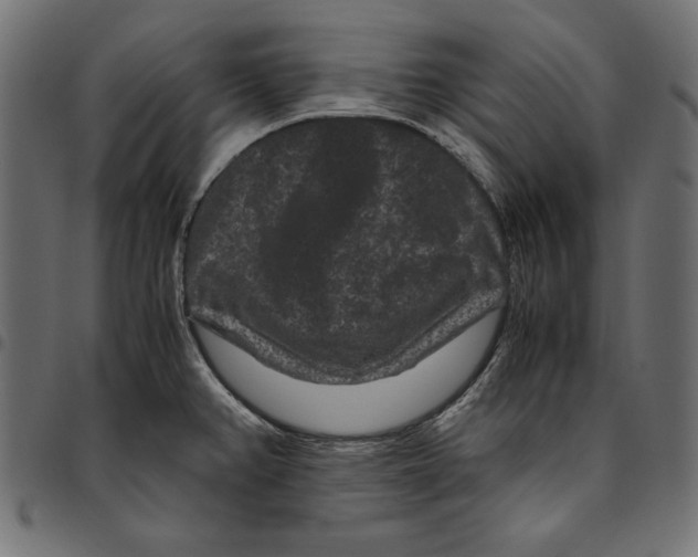 X0000094781382200712141610