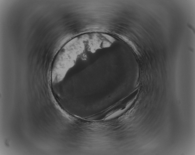 X0000094781383200712141610