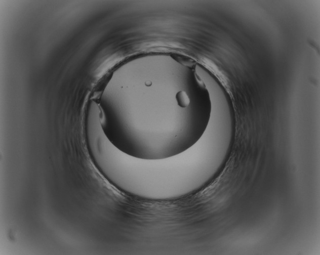 X0000094781384200712141610