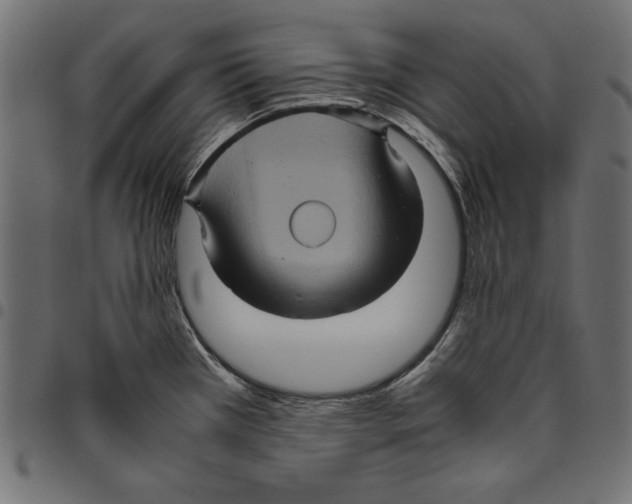 X0000094781385200712141610