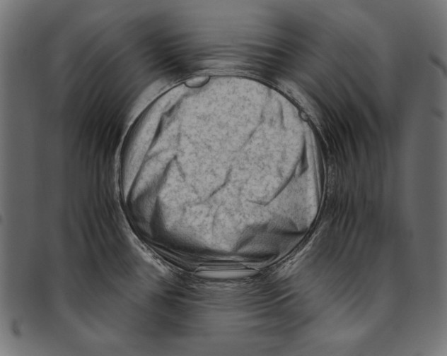 X0000094781386200712141610