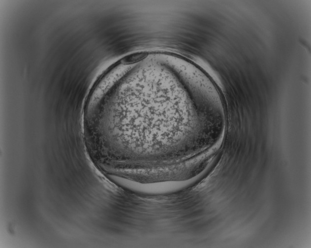 X0000094781388200712141610