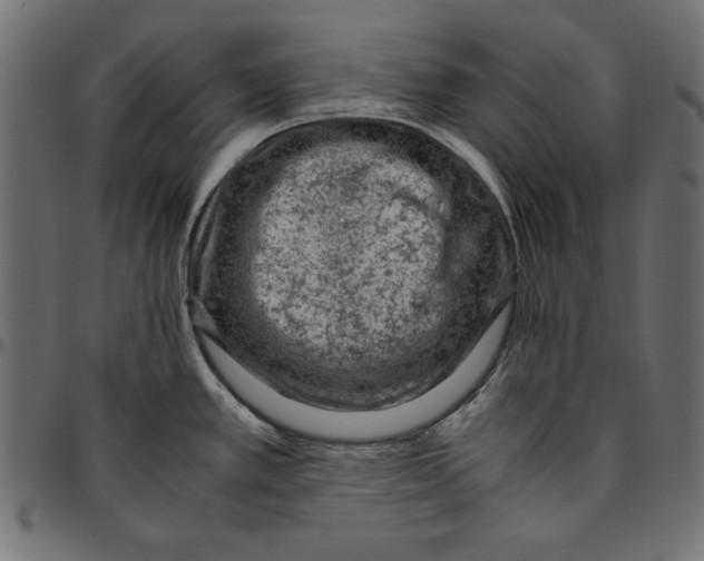 X0000094781389200712141610