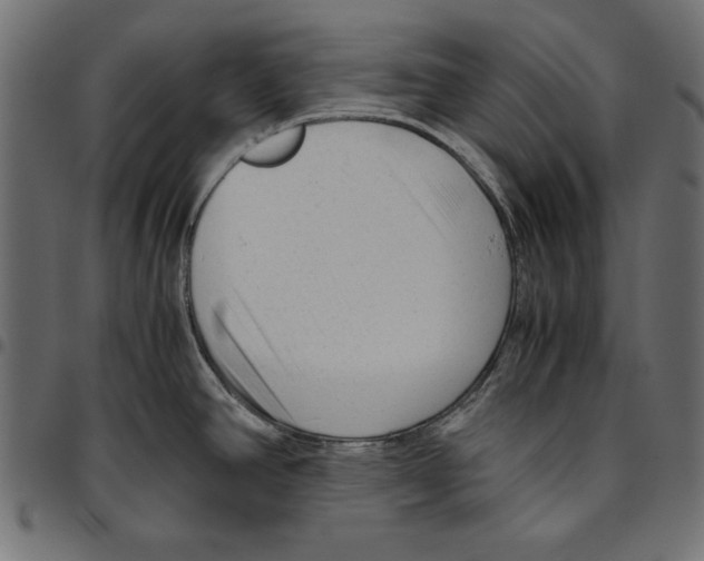 X0000094781390200712141610