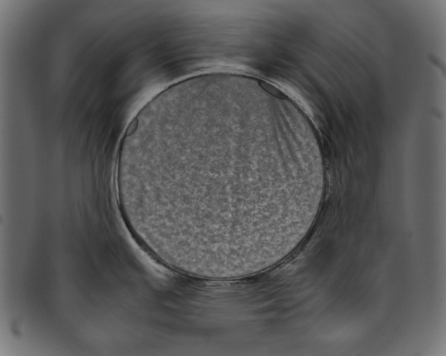 X0000094781391200712141610