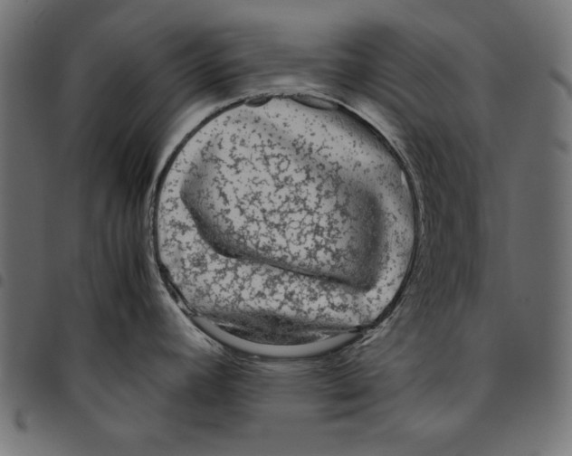 X0000094781392200712141610