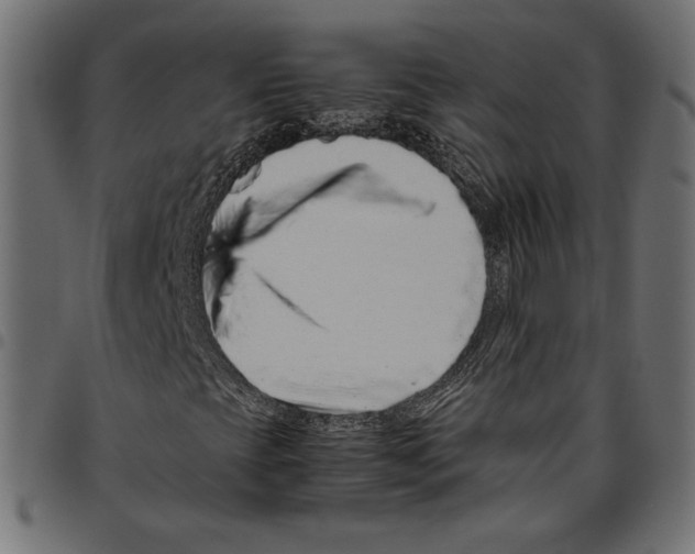 X0000094781393200712141609