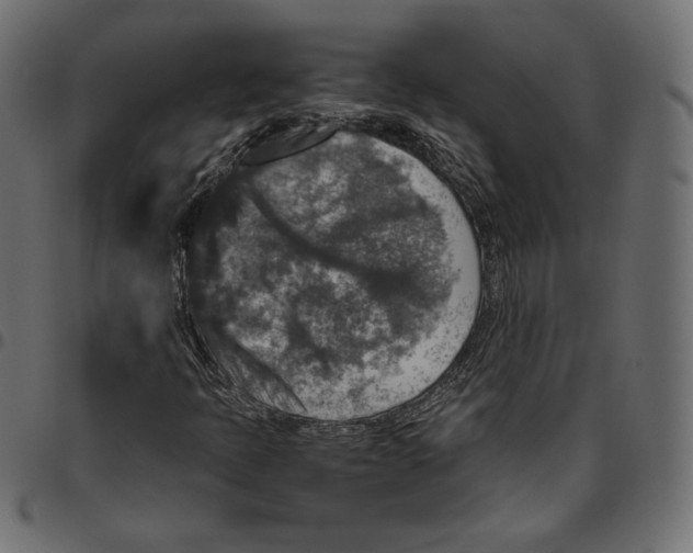 X0000094781397200712141609