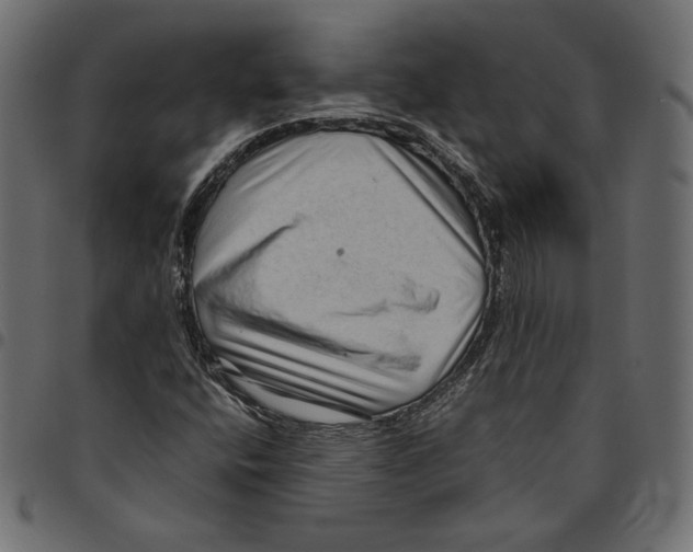 X0000094781400200712141609