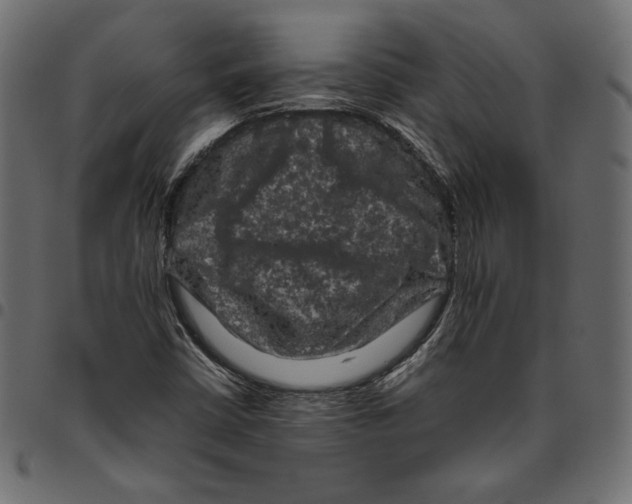 X0000094781402200712141609