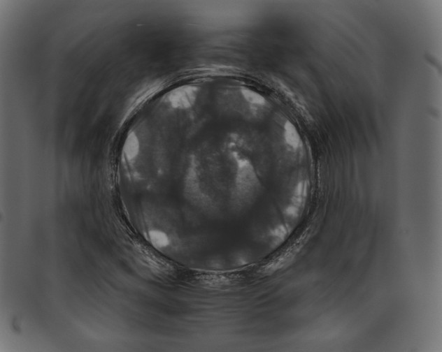 X0000094781405200712141609