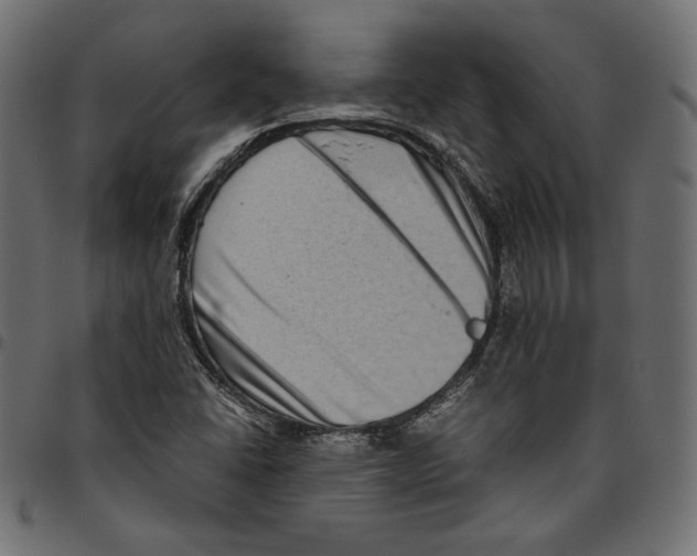 X0000094781406200712141609