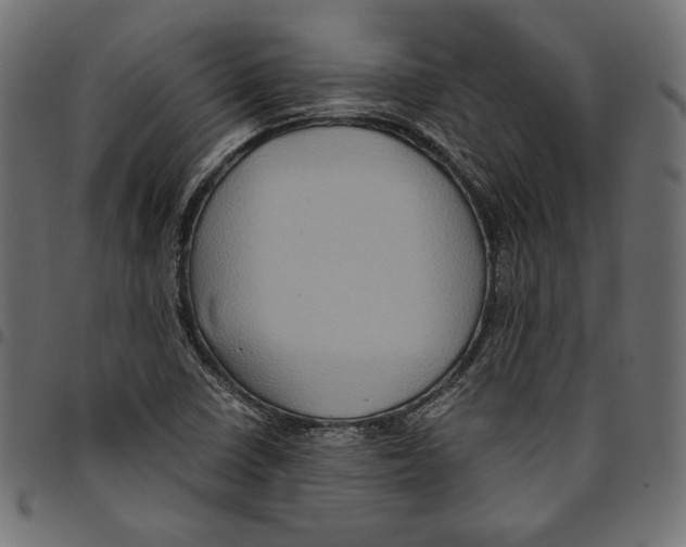 X0000094781410200712141609