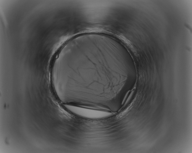 X0000094781414200712141609